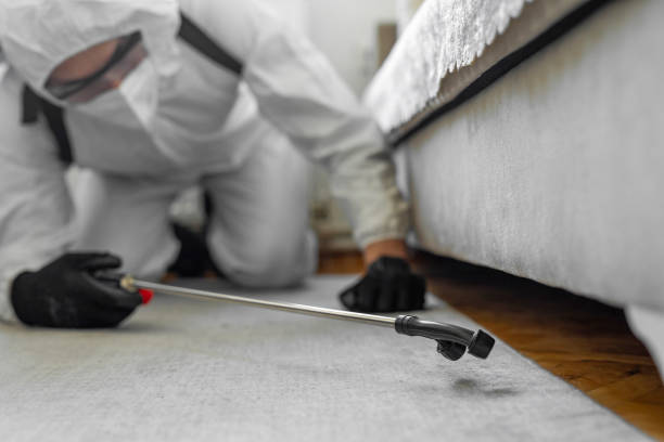 Professional Termite Control technician working in Claypool, AZ