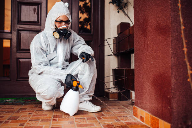 Reliable Termite Control contractor in Claypool, AZ by Nex Pest Control