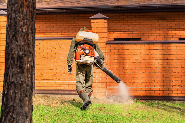 Top rated local Termite Control specialists in Claypool, AZ